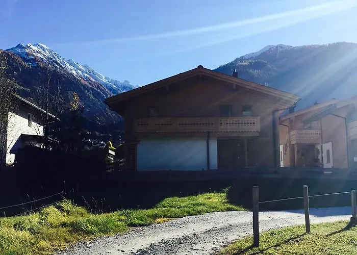 Noriker * Niedernsill